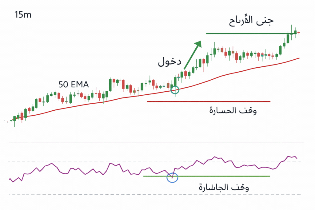  صفقة شراء كاملة