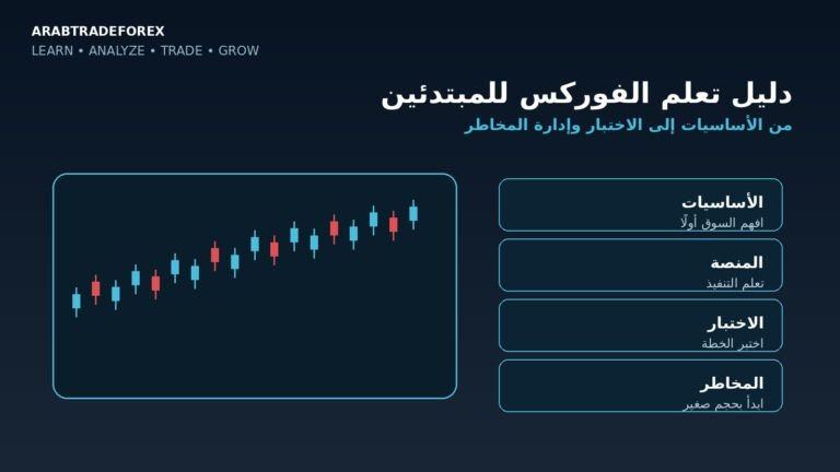 دليل تعلم الفوركس للمبتدئين من الأساسيات إلى الاختبار وإدارة المخاطر